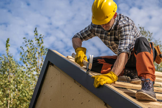 Best Skylight Installation and Repair  in Richmond, TX